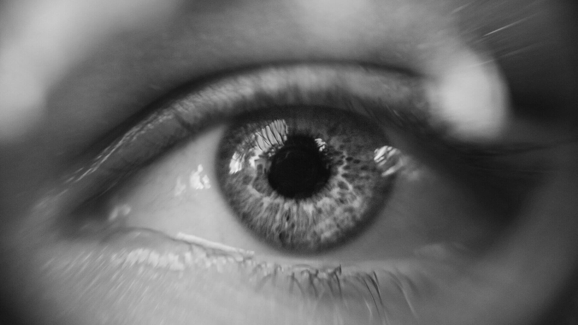 Vision